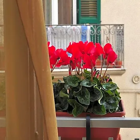 Donna Eleonora Pensionat Matera