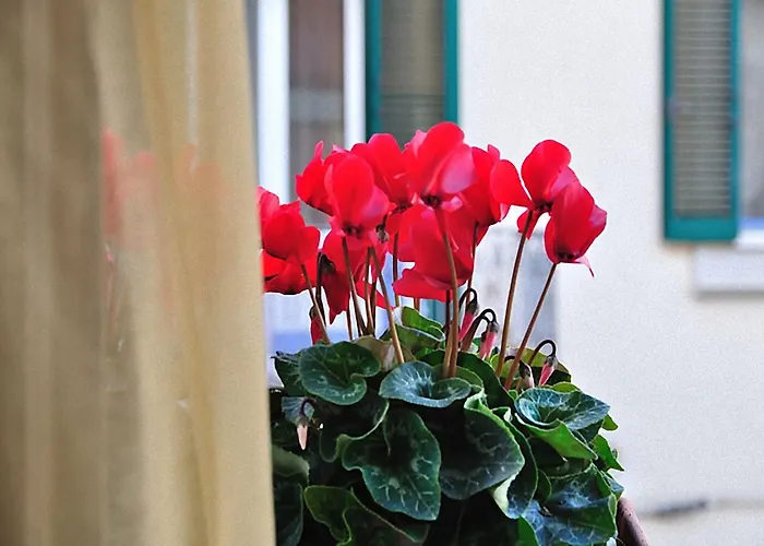 Donna Eleonora Guest house 4*